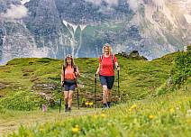 The diverse flora such as gentian, silver thistles, mountain anemones, silver thistles is explained on a nature education trail. (bei Klick vergrösserte Ansicht Bild)