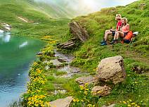 On the banks of the picturesque Bachalpsee on First, the buttercups shine in a rich yellow. A worthy setting for a stop. (bei Klick vergrösserte Ansicht Bild)