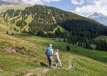 The trail is pleasant to walk and is particularly suitable for senior citizens. (bei Klick vergrösserte Ansicht Bild)
