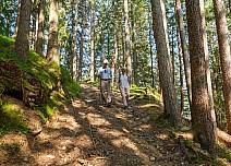 After Unterläger, the trail leads through a cooling wooded area that smells wonderfully of moss and mushrooms. (bei Klick vergrösserte Ansicht Bild)