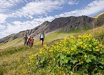 From the First mountain station, the trail first leads slightly downhill and then climbs up to Chrinnenboden, passing an upland moor.  (bei Klick vergrösserte Ansicht Bild)
