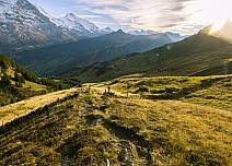 The sun is low over the vast Alpine meadows and casts its evening light on the Eiger, Mönch and Jungfrau triumvirate. (bei Klick vergrösserte Ansicht Bild)