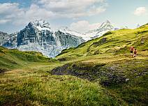 Auf dem Weg öffnet sich die grandiose Kulisse der Berner Alpen (bei Klick vergrösserte Ansicht Bild)