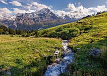 Durch die grünen Alpenwiesen plätschert ein Bergbächlein zu Tal. In der leichten Morgenbrise wiegen sich Hahnenfuss und Flockenblumen. (bei Klick vergrösserte Ansicht Bild)