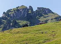 Vom Berghaus Bussalp folgt man einem gut beschilderten Bergwanderweg in Richtung Holzmattenläger. (bei Klick vergrösserte Ansicht Bild)