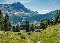 Der Weg führt steil hinab und es ist aufzupassen, wohin man tritt. (bei Klick vergrösserte Ansicht Bild)