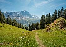 In der Ferne erhebt sich stolz der Eiger. (bei Klick vergrösserte Ansicht Bild)