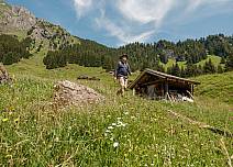 Der Weg führt über eine Bergweide voller Bergblumen und um die Wette summender Bienen. (bei Klick vergrösserte Ansicht Bild)
