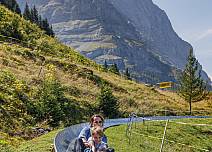 Doch erst ein Mittagessen mit herrlichem Blick auf Grindelwald geniessen, bevor es dann auf der kurvigen Rodelbahn 725m den Berg hinabgeht. (bei Klick vergrösserte Ansicht Bild)