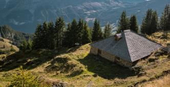 Bussalp via Spillmatten und Feld nach Waldspitz