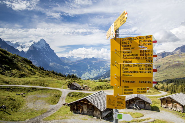Wandern Ausflug Grosse Scheidegg