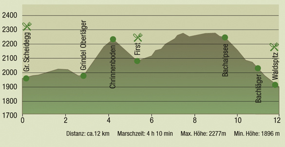 Zoom: Profil Bergwanderung Grosse Scheidegg