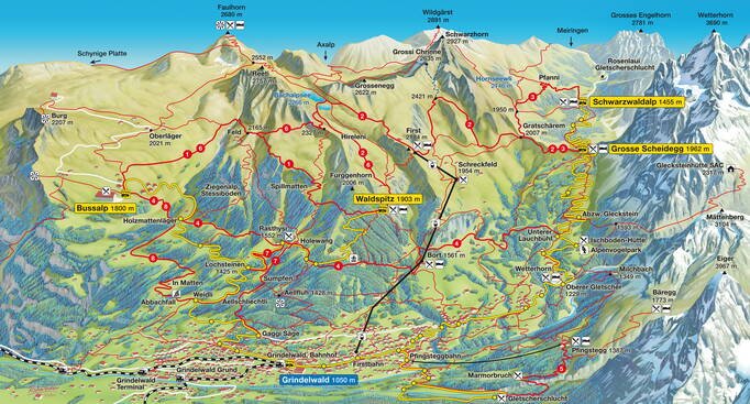 Grindelwald summer 2024