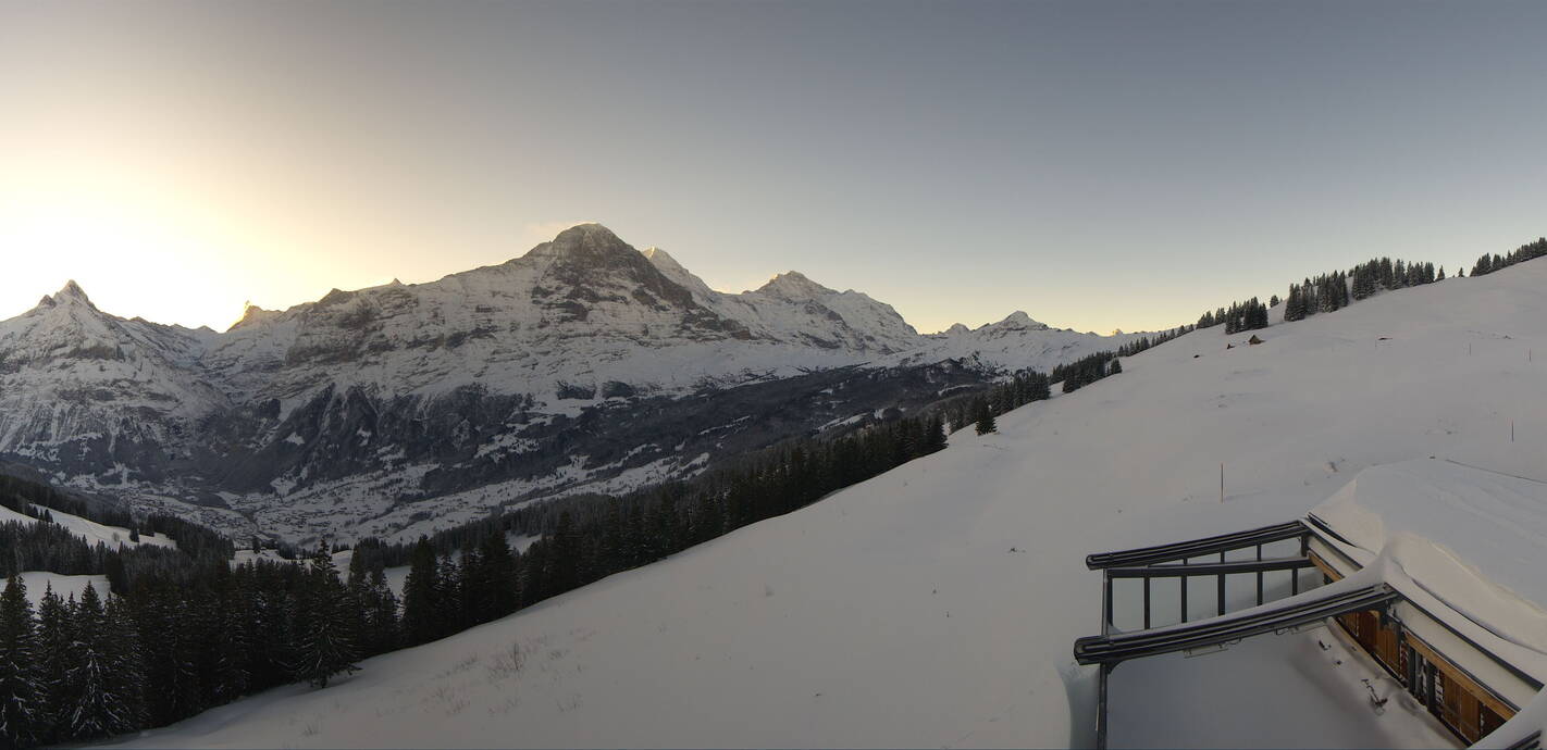 Externe Seite: Livecam Bussalp Grindelwald